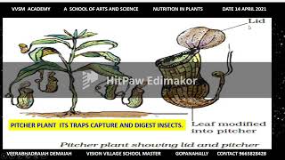 BOTANY CARNIVOROUS PLANTS [upl. by Zelle]