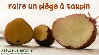 Faire un piège à taupin  Astuce de jardinier par David Latassa [upl. by Acinnor69]