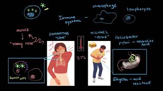 Manifestation amp treatment of infectious diseases  Human Health and Disease  Biology  Khan Academy [upl. by Haase608]