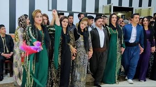 best Kurdish wedding 2023  best kurdish dance 2023 [upl. by Irtemed502]