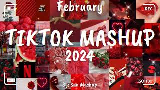 Tiktok Mashup February 🎉 2024 🎉 Not Clean [upl. by Nell]