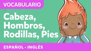 Cabeza hombros rodillas y pies  Canciones para niños pequeños  Spanish songs for littles [upl. by Laurella133]