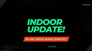 Indoor Update [upl. by Poucher]