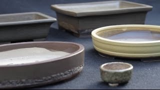 Bonsai pots [upl. by Matta]