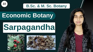 Economic Botany  Medicinal Plants  Sarpagandha  Rauvolfia serpentina  B Sc amp M Sc [upl. by Jaal]