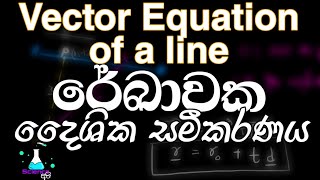 vector equation of a line sinhala  රේඛාවක දෛශික සමීකරනය ගැනීම [upl. by Aliuqehs]