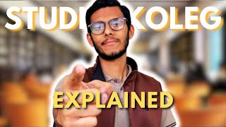 Studienkolleg Explained Here is everything You need to Know [upl. by Nylesor589]