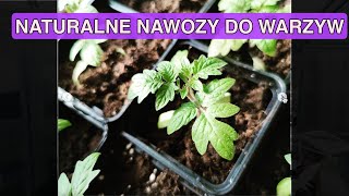 CZYM NAWOĹ»Ä MOJE SADZONKI Naturalne nawozy do warzyw Nawozy ekologiczne Nawozy naturalne [upl. by Einej]