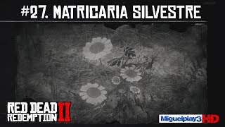 Localización Matricaria Silvestre  27Compendio Plantas  Red dead redemption 2 [upl. by Karb570]