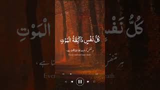 Tilawat Quran Best tilawat with beautiful voice [upl. by Dallis]