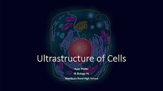 Ultrastructure of Cells [upl. by Atterual792]