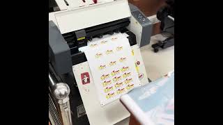 Custom Sheet Stickers  Sticker Printing  Stickomania [upl. by Lounge]