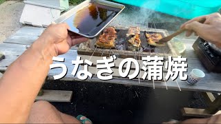 採れた鰻を蒲焼きにして食べたよ [upl. by Nolahc]