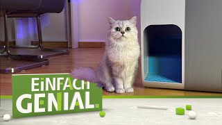 Neues KATZENKLO sorgt für SAUBERE PFOTEN 😻  Einfach genial  MDR [upl. by Decca]