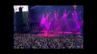 The Offspring  Want You Bad Live Best Performance HD [upl. by Pyne]