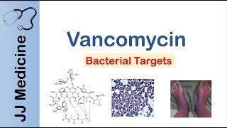 Vancomycin  Bacterial Targets Mechanism of Action Adverse Effects [upl. by Leroy460]