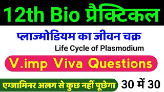 12th Biology Practical Viva  life cycle of plasmodium Viva Questions Class 12  12th Biology Viva [upl. by Flinn142]