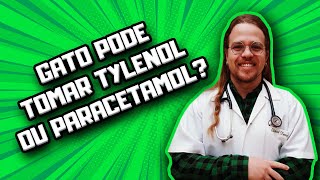 Gato pode tomar Tylenol ou Paracetamol  Dr Edgard Gomes [upl. by Haughay]