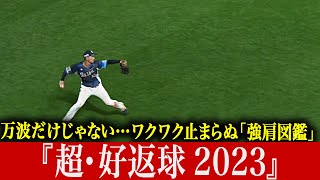 【万波だけじゃ】ワクワク止まらぬ“強肩図鑑” 『超・好返球 2023』【ないんです】 [upl. by Catto494]