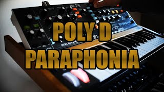 BEHRINGER POLY D  PARAPHONIA [upl. by Jenkel]