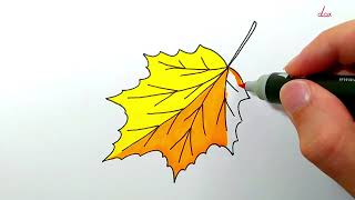 How to Draw an Autumn Leaf [upl. by Rilda]