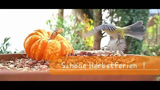 Schöne Herbstferien [upl. by Rovit]