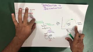 Introduction to Bioenergetics  Part 1 Biochemistry [upl. by Steen992]