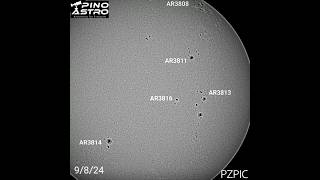 Daily Sunspots September 8 2024 BampW 9824 sun solar sunspots seestar solarobservation [upl. by Marcoux]