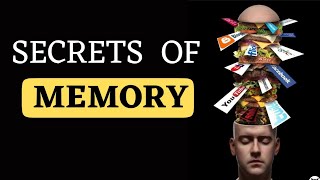 The Mysteries of Memory  How do we Remember and Forget  Atkinson and Shiffrin Memory Model [upl. by Lithea]