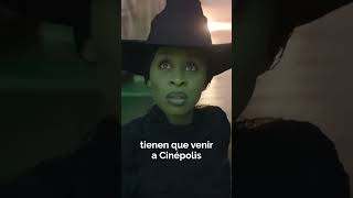 Solo estas dos mujeres talentosas pudieron llenar los zapatos de Elphaba y Glinda [upl. by Pilar]