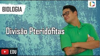 Biologia  Divisão Pteridófitas [upl. by Feledy883]