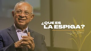 ¿Qué es la Ofrenda de la Espiga🌾 Pastor José Satirio Dos Santos [upl. by Luben]