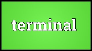 Terminal Meaning [upl. by Natsirt]