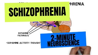 2Minute Neuroscience Schizophrenia [upl. by Arakal]