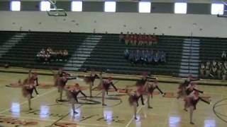 Hagerty High School Unleashed Dance Team [upl. by Daus751]