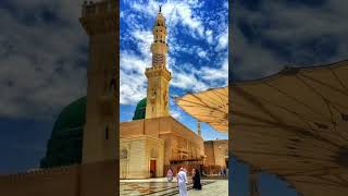 viralvideo shortvideo islamic freepalestine shorts [upl. by Airpac]