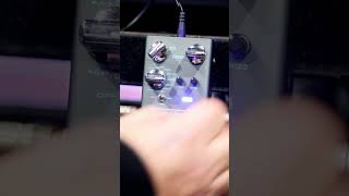 Joyo Atmosphere Shimmer reverb with Stratocaster guitar joyopedals reverb [upl. by Frye]