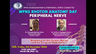 Anatomy of the Sciatic Nerve and Its surgical approach [upl. by Eecal]