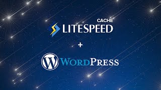 شرح إعدادات LiteSpeed Cache المثالية لتسريع موقع ووردبريس  إضافة لايت سبيد كاش [upl. by Karen874]