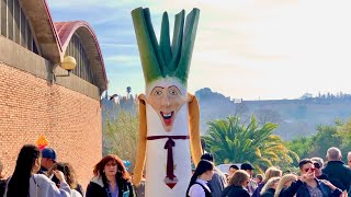 CERCAVILA 42ª Gran Festa de la Calçotada 2024 amb Gegants Calçot Antonet i Angelina la Mulassa [upl. by Caryl]