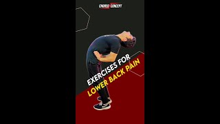 5 Exercises for Lower Back Pain  Workout for the Lower Back Pain  Lower Back Pain Relief [upl. by Crabb]