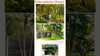 Inside the Cult of Osho The Ashram That Changed India Forever [upl. by Idalla]