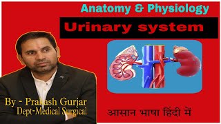 Nephrology amp urology difference between nephrology or urology [upl. by Nnayllek]