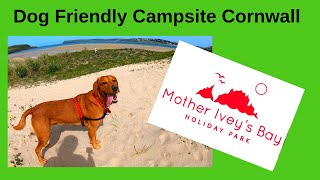 Dog Friendly Campsite in Cornwall Padstow Mother Iveys Bay Holiday Park [upl. by Epilif]