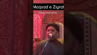 Maqsad e Ziyarat purpose of ziyarat Moulana Nusrat Bukhari [upl. by Stephanus]