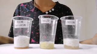 EXPERIMENT  THE ENZYME CATALASE POTATO AND HYDROGEN PEROXIDE [upl. by Sackville]