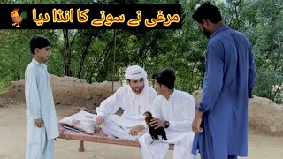 مرغی نے سونے کا انڈا دیا 🐓 Drema unfrezzmyaccount funny [upl. by Ryon789]