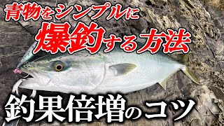 【釣果爆増】風と波を使って青物爆釣！早春のロックショアプラッギング [upl. by Fabrianne]