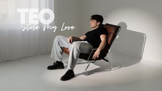 TEO  Stole my Love Official Lyric Video [upl. by Rahm435]