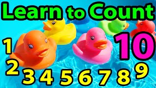 Learn to COUNT to 10 Rubber Duckies Somg Educational Videos for Kids Kindergarten Learning Preschool [upl. by Beatriz]